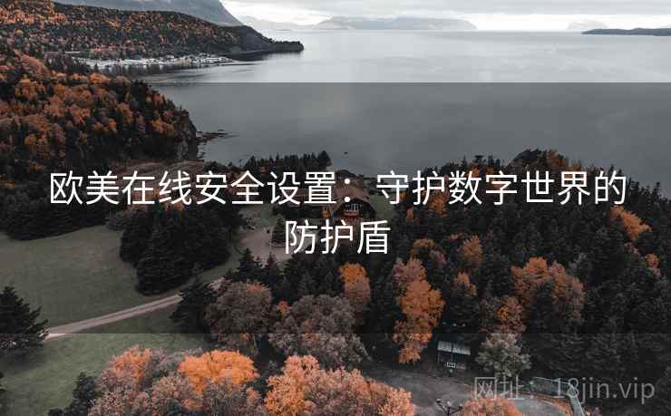 欧美在线安全设置:守护数字世界的防护盾 欧美在线安全设置:守护数字世界的防护盾
