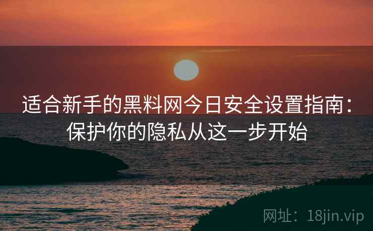 适合新手的黑料网今日安全设置指南：保护你的隐私从这一步开始