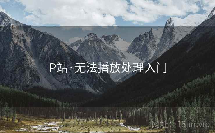 P站·无法播放处理入门 P站·无法播放处理入门