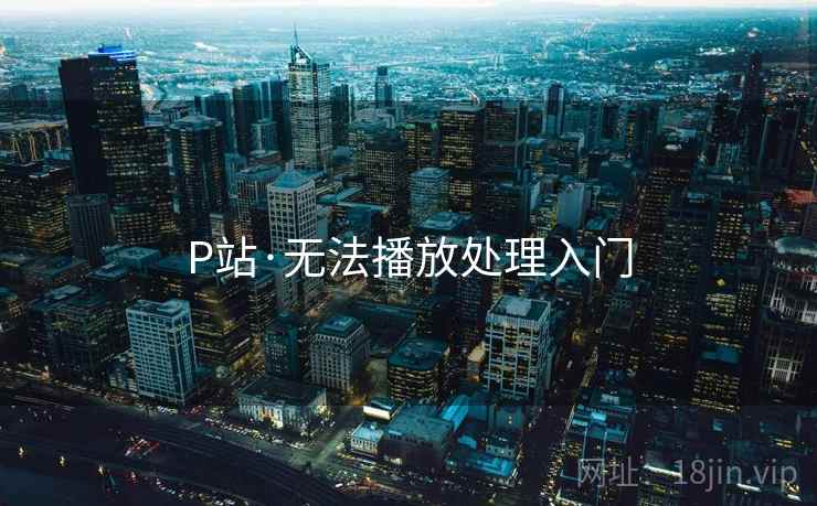 P站·无法播放处理入门