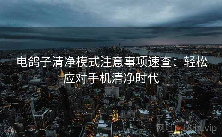 电鸽子清净模式注意事项速查：轻松应对手机清净时代