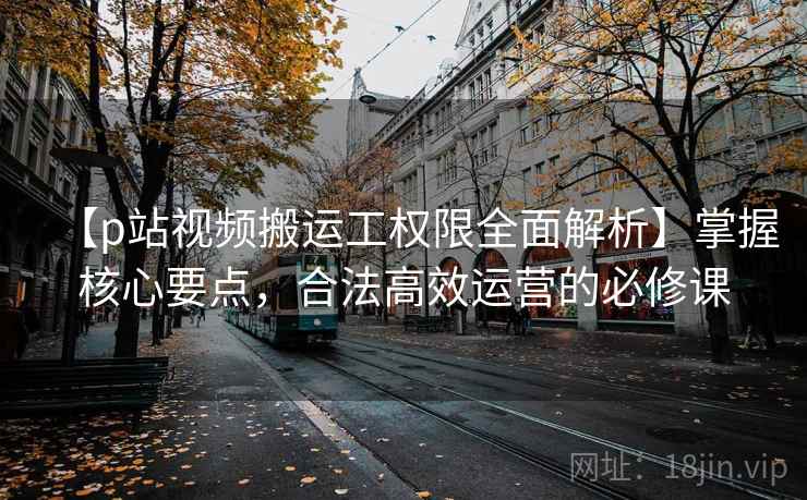 【p站视频搬运工权限全面解析】掌握核心要点，合法高效运营的必修课