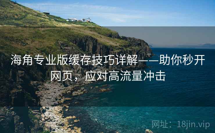 海角专业版缓存技巧详解——助你秒开网页，应对高流量冲击