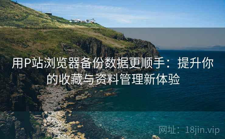 用P站浏览器备份数据更顺手：提升你的收藏与资料管理新体验