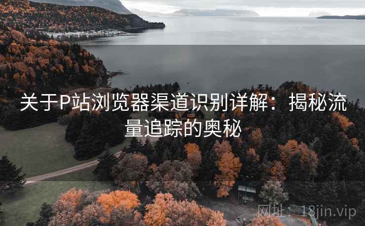 关于P站浏览器渠道识别详解：揭秘流量追踪的奥秘
