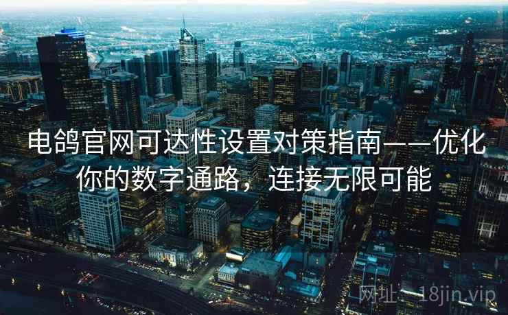 电鸽官网可达性设置对策指南——优化你的数字通路，连接无限可能
